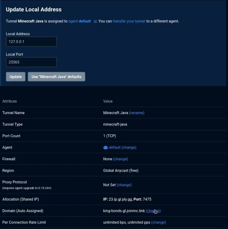 playit assign domain